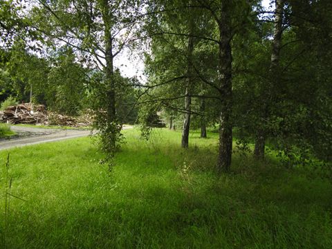 Foto 61